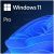 Microsoft Windows 11 Pro OEM 64bit (1 PC Licence)
